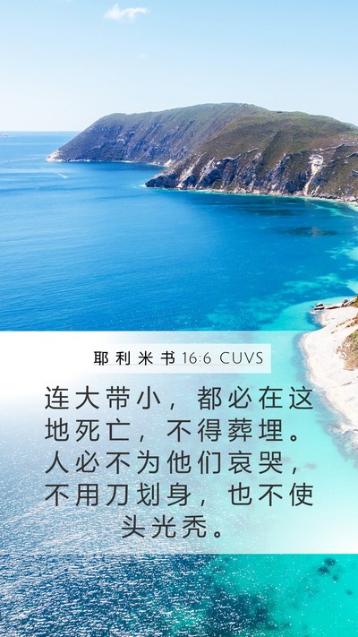 耶 利 米 书 16:6 CUVS Bible Verse Image