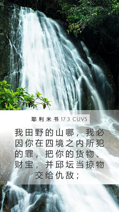 耶 利 米 书 17:3 CUVS Bible Verse Image