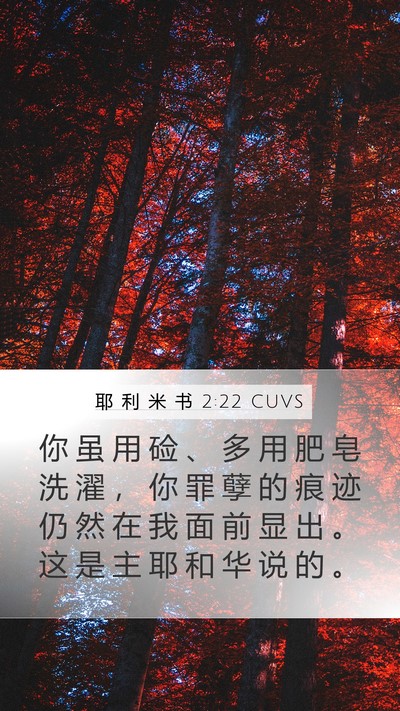 耶 利 米 书 2:22 CUVS Bible Verse Image