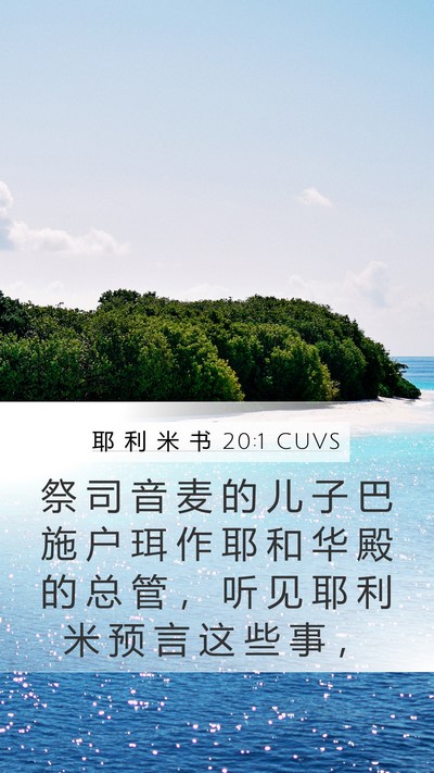 耶 利 米 书 20:1 CUVS Bible Verse Image