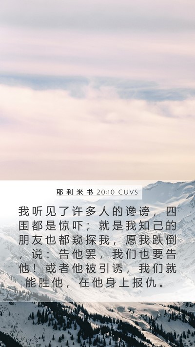 耶 利 米 书 20:10 CUVS Bible Verse Image