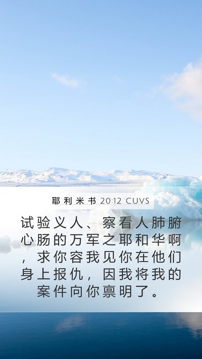 耶 利 米 书 20:12 CUVS Bible Verse Image