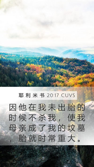 耶 利 米 书 20:17 CUVS Mobile Phone Wallpaper - 因 他 在 我 未 出 胎 的 时 候 不 杀 - Mobile Bible Verse Wallpaper