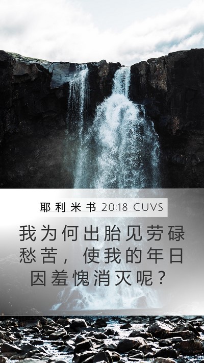 耶 利 米 书 20:18 CUVS Bible Verse Image