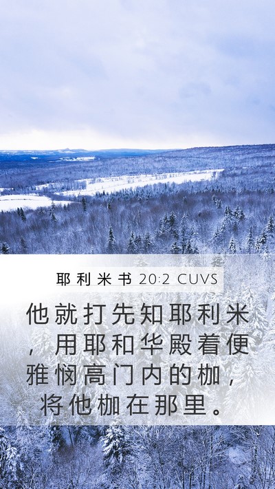 耶 利 米 书 20:2 CUVS Bible Verse Image