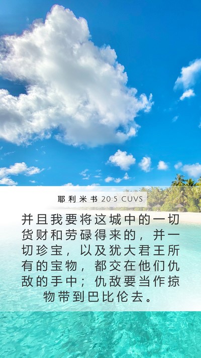 耶 利 米 书 20:5 CUVS Bible Verse Image