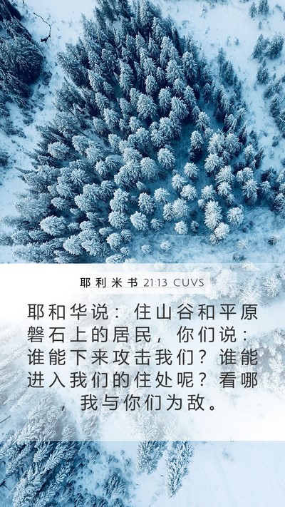 耶 利 米 书 21:13 CUVS Bible Verse Image