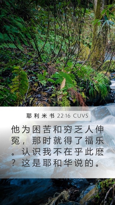 耶 利 米 书 22:16 CUVS Bible Verse Image