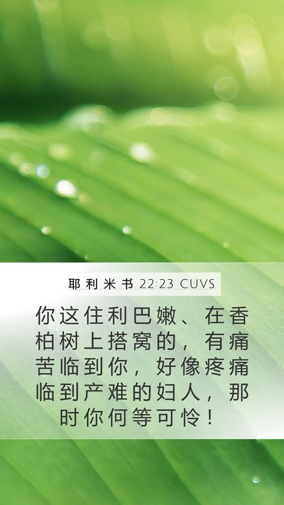 耶 利 米 书 22:23 CUVS Bible Verse Image