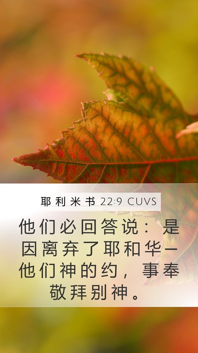 耶 利 米 书 22:9 CUVS Bible Verse Image