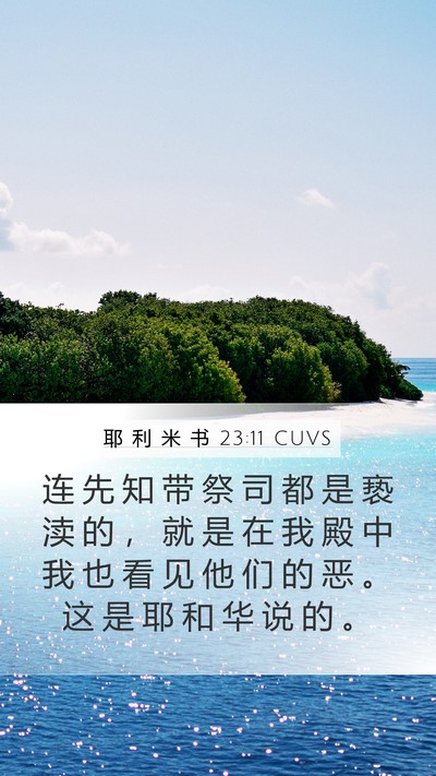 耶 利 米 书 23:11 CUVS Bible Verse Image