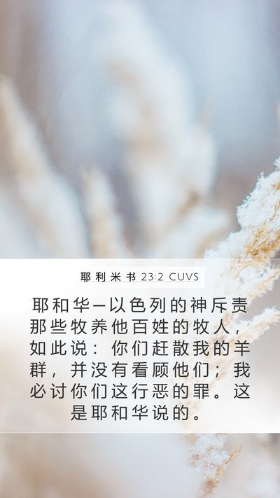 耶 利 米 书 23:2 CUVS Bible Verse Image