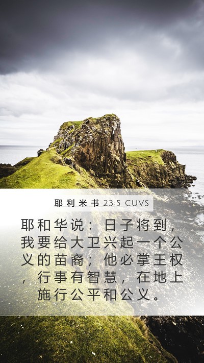 耶 利 米 书 23:5 CUVS Bible Verse Image