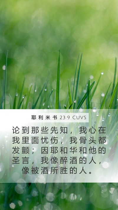 耶 利 米 书 23:9 CUVS Bible Verse Image