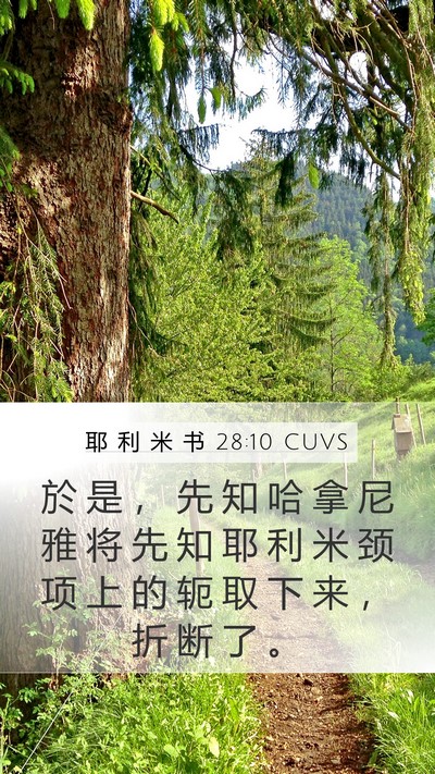 耶 利 米 书 28:10 CUVS Bible Verse Image