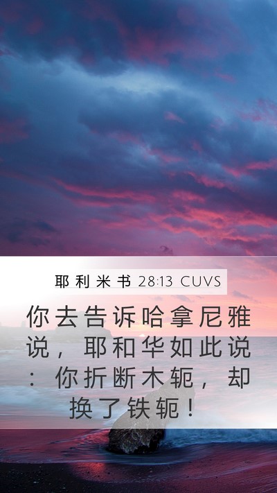 耶 利 米 书 28:13 CUVS Bible Verse Image