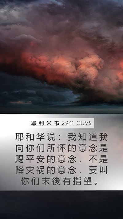 耶 利 米 书 29:11 CUVS Bible Verse Image