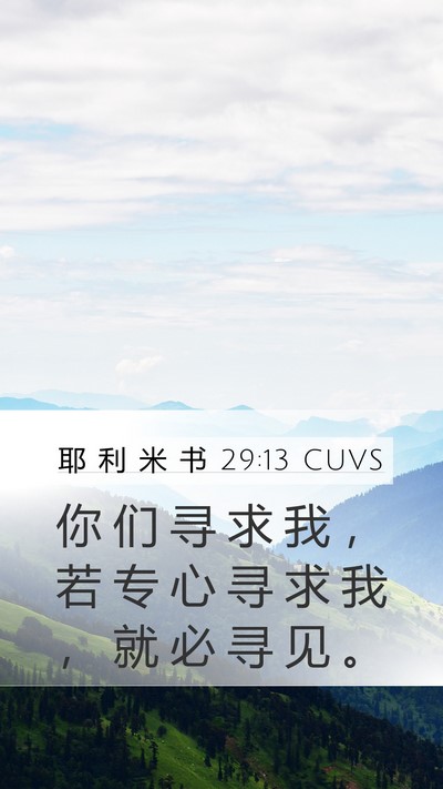 耶 利 米 书 29:13 CUVS Bible Verse Image