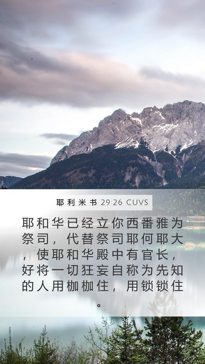 耶 利 米 书 29:26 CUVS Bible Verse Image