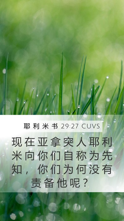 耶 利 米 书 29:27 CUVS Mobile Phone Wallpaper - 现 在 亚 拿 突 人 耶 利 米 向 你 们 - Mobile Bible Verse Wallpaper