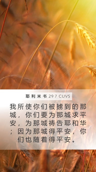耶 利 米 书 29:7 CUVS Bible Verse Image