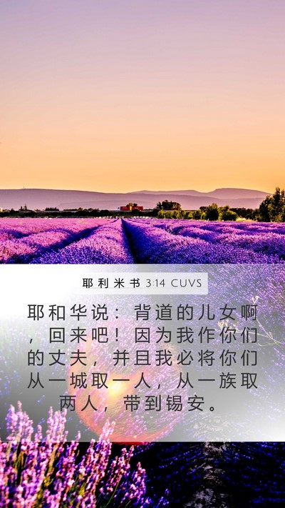 耶 利 米 书 3:14 CUVS Mobile Phone Wallpaper - 耶 和 华 说 ： 背 道 的 儿 女 啊 ， - Mobile Bible Verse Wallpaper