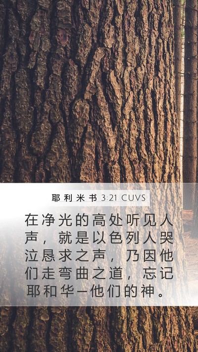 耶 利 米 书 3:21 CUVS Bible Verse Image