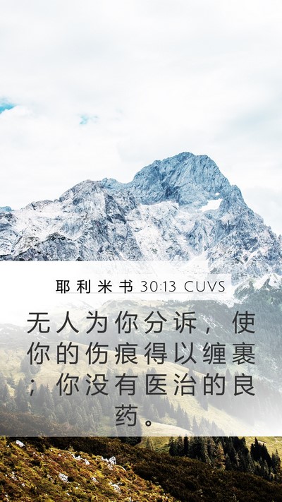 耶 利 米 书 30:13 CUVS Bible Verse Image