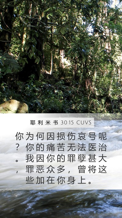 耶 利 米 书 30:15 CUVS Bible Verse Image