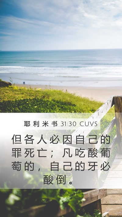 耶 利 米 书 31:30 CUVS Mobile Phone Wallpaper - 但 各 人 必 因 自 己 的 罪 死 亡 ； - Mobile Bible Verse Wallpaper