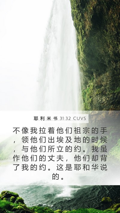 耶 利 米 书 31:32 CUVS Bible Verse Image