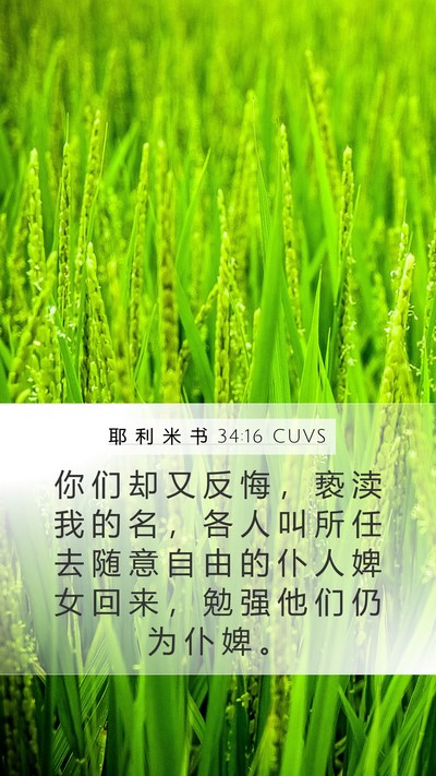 耶 利 米 书 34:16 CUVS Bible Verse Image
