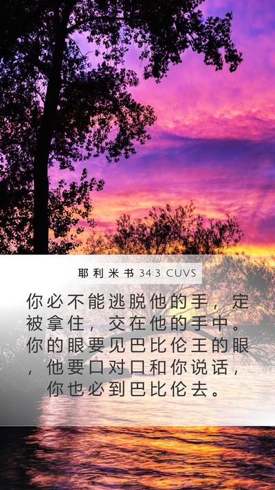 耶 利 米 书 34:3 CUVS Bible Verse Image