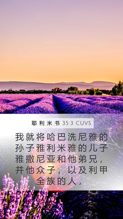 耶 利 米 书 35:3 CUVS Mobile Phone Wallpaper - 我 就 将 哈 巴 洗 尼 雅 的 孙 子 雅 - Mobile Bible Verse Wallpaper
