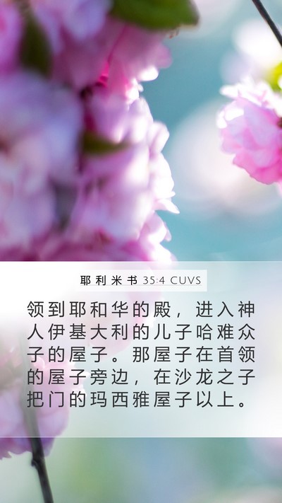 耶 利 米 书 35:4 CUVS Bible Verse Image