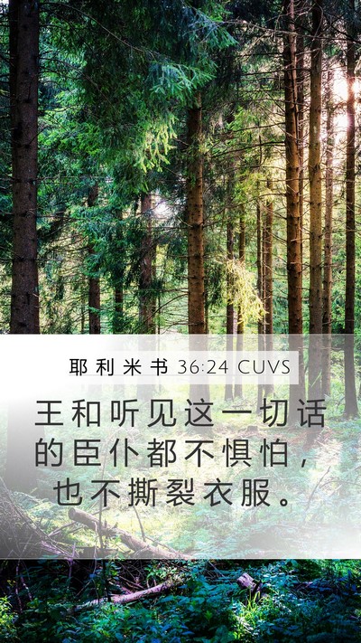 耶 利 米 书 36:24 CUVS Bible Verse Image