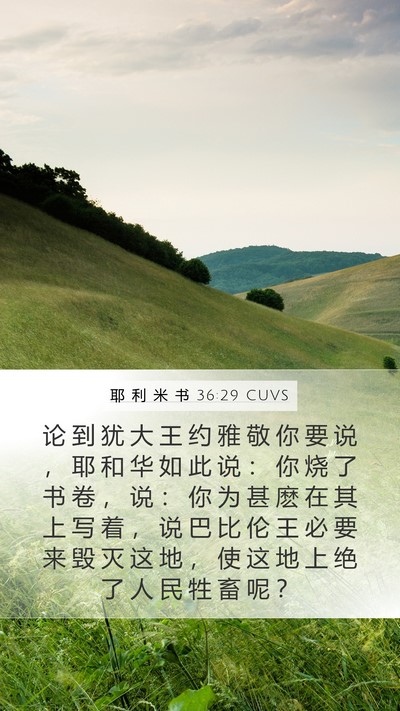 耶 利 米 书 36:29 CUVS Bible Verse Image