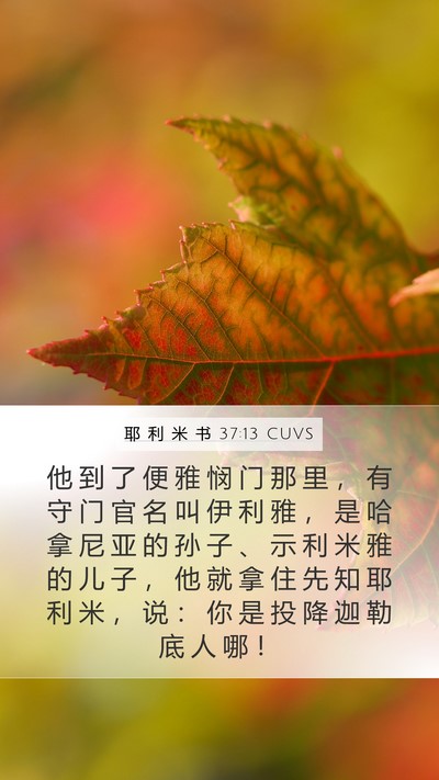 耶 利 米 书 37:13 CUVS Bible Verse Image