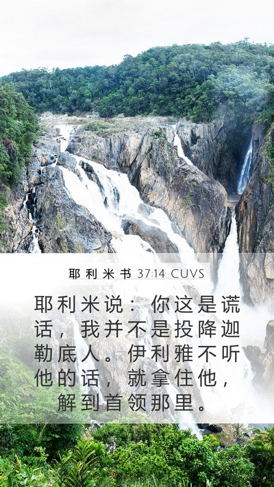 耶 利 米 书 37:14 CUVS Bible Verse Image