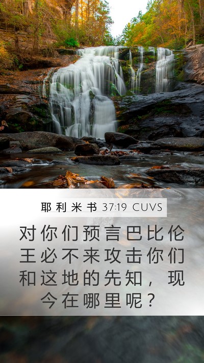 耶 利 米 书 37:19 CUVS Bible Verse Image