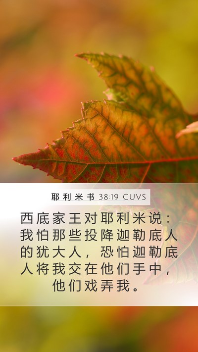 耶 利 米 书 38:19 CUVS Bible Verse Image