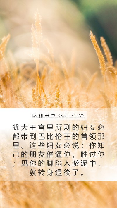 耶 利 米 书 38:22 CUVS Bible Verse Image