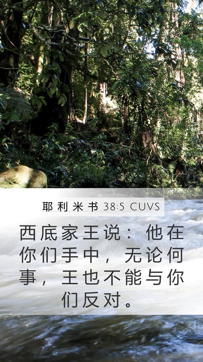 耶 利 米 书 38:5 CUVS Bible Verse Image