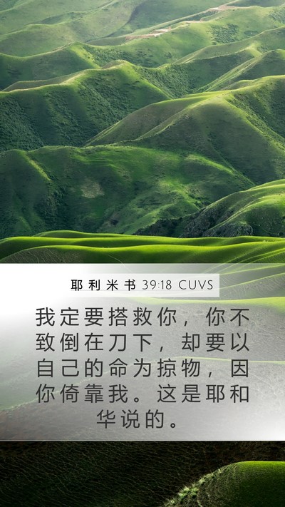 耶 利 米 书 39:18 CUVS Mobile Phone Wallpaper - 我 定 要 搭 救 你 ， 你 不 致 倒 在 - Mobile Bible Verse Wallpaper