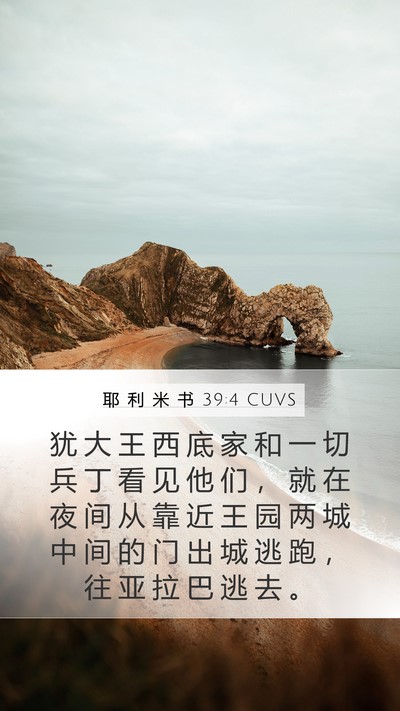 耶 利 米 书 39:4 CUVS Bible Verse Image