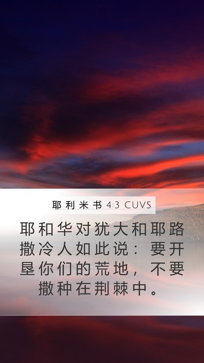 耶 利 米 书 4:3 CUVS Bible Verse Image