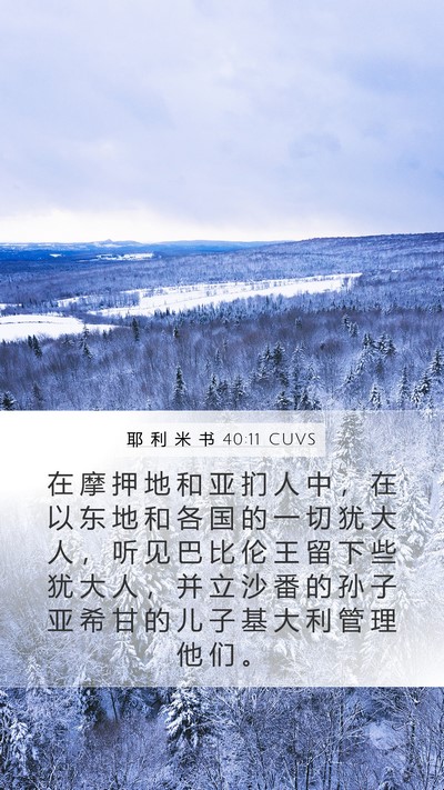 耶 利 米 书 40:11 CUVS Bible Verse Image