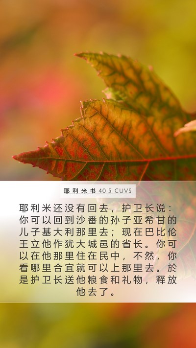 耶 利 米 书 40:5 CUVS Bible Verse Image
