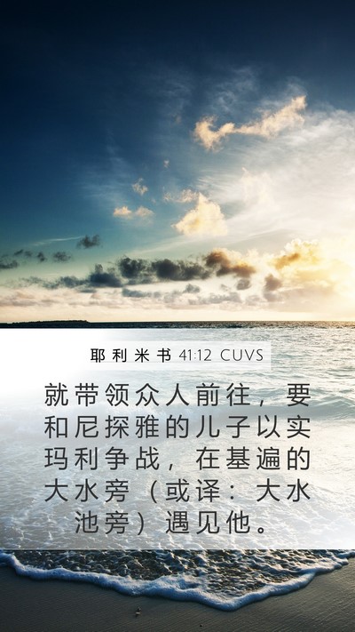 耶 利 米 书 41:12 CUVS Bible Verse Image