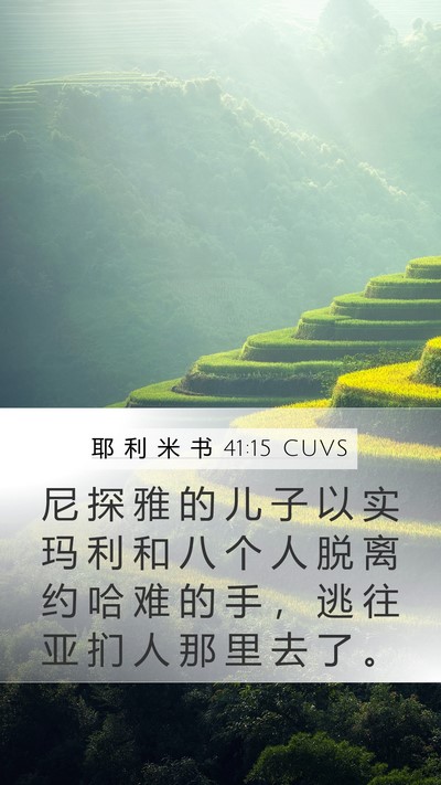 耶 利 米 书 41:15 CUVS Mobile Phone Wallpaper - 尼 探 雅 的 儿 子 以 实 玛 利 和 八 - Mobile Bible Verse Wallpaper